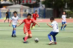 贝氏球场设,计方案亮相,屋顶植树,谈球吧,谈球吧下载,谈球吧官网,谈球吧入口,谈球吧登录,谈球吧链接