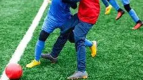 贝氏球场设计方案亮相：屋顶植树+酒吧入驻，投资超7.5亿英镑