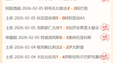 《英冠联赛风云揭秘：剧情高潮迭起，精彩悬念逐一揭晓》