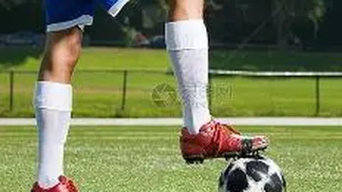 巴甲球队主场力争7连胜：专家质合分析推荐前区十码